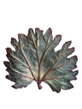 FOUND Collection Handmade Painted Ceramic Gunnera Leaf