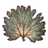 FOUND Collection Handmade Painted Ceramic Gunnera Leaf