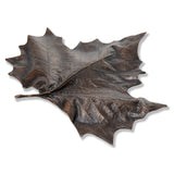 Found Collection Cast Bronze Sycamore Leaf