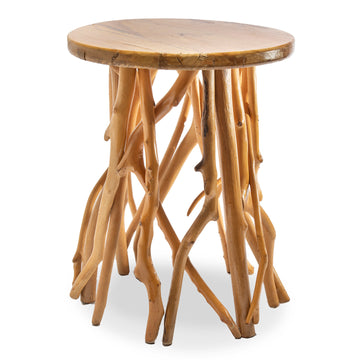 Circular Side Table with Intertwined Branch Base