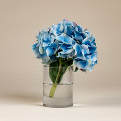 Blue Hydrangea cutting w/leaf in small glass cylinder vase