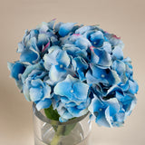 Blue Hydrangea cutting w/leaf in small glass cylinder vase