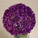 Purple Orchid Large Allium Leaf in Small Glass Vase