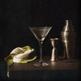 Still Life for Daisy