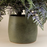 Athyrium "Painted Lady" Fern w/ 9" green porcelain round