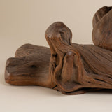 Large Vintage Driftwood Lamp Crafted from a Singular Piece of Sun-Bleached Driftwood