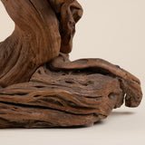 Large Vintage Driftwood Lamp Crafted from a Singular Piece of Sun-Bleached Driftwood