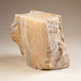 Solid Block of Zebra Onyx Side Table