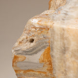 Solid Block of Zebra Onyx Side Table