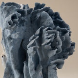 Blue Coral