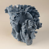 Blue Coral