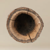 Vintage Tree Bark Planter