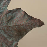 FOUND Collection Cast Bronze Sycamore Leaf