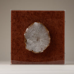 Natural agate slice housed inn acrylic case.