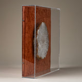Natural agate slice housed inn acrylic case.