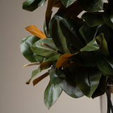 Magnolia Leaf Arrangement 32"H
