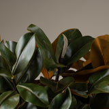 Magnolia Leaf Arrangement 32"H