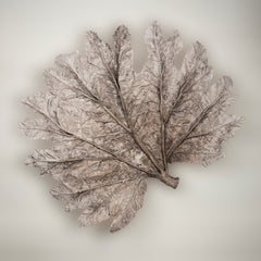 Found Collection Handmade Ceramic Gunnera Leaf