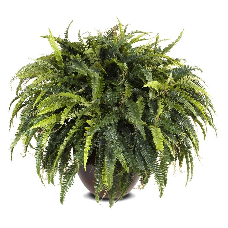 Large Faux Forest Fern