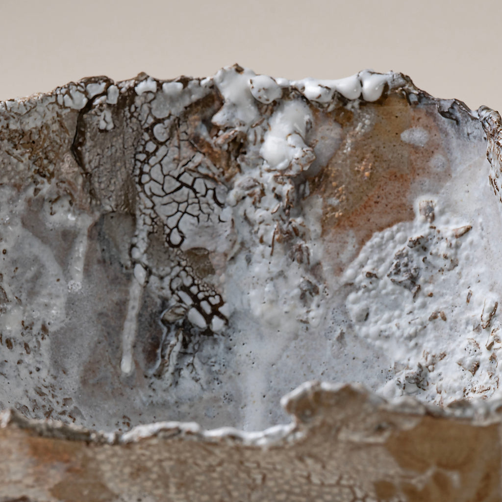 Large Brown Lichen Textured Bowl