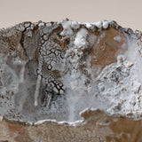 Large Brown Lichen Textured Bowl
