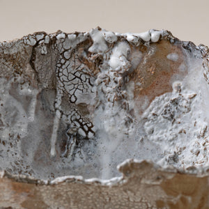 Large Brown Lichen Textured Bowl