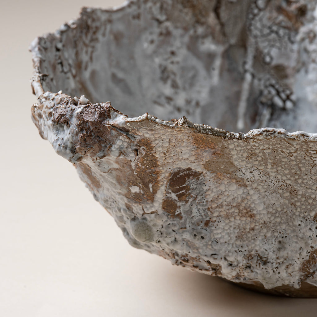 Large Brown Lichen Textured Bowl