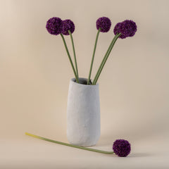 Allium Flower Stem