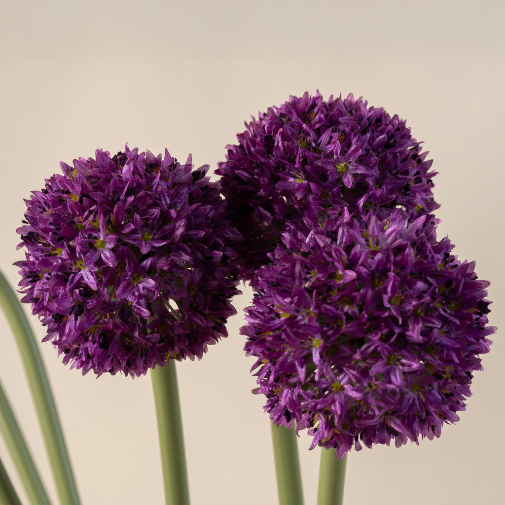 Allium Flower Stem