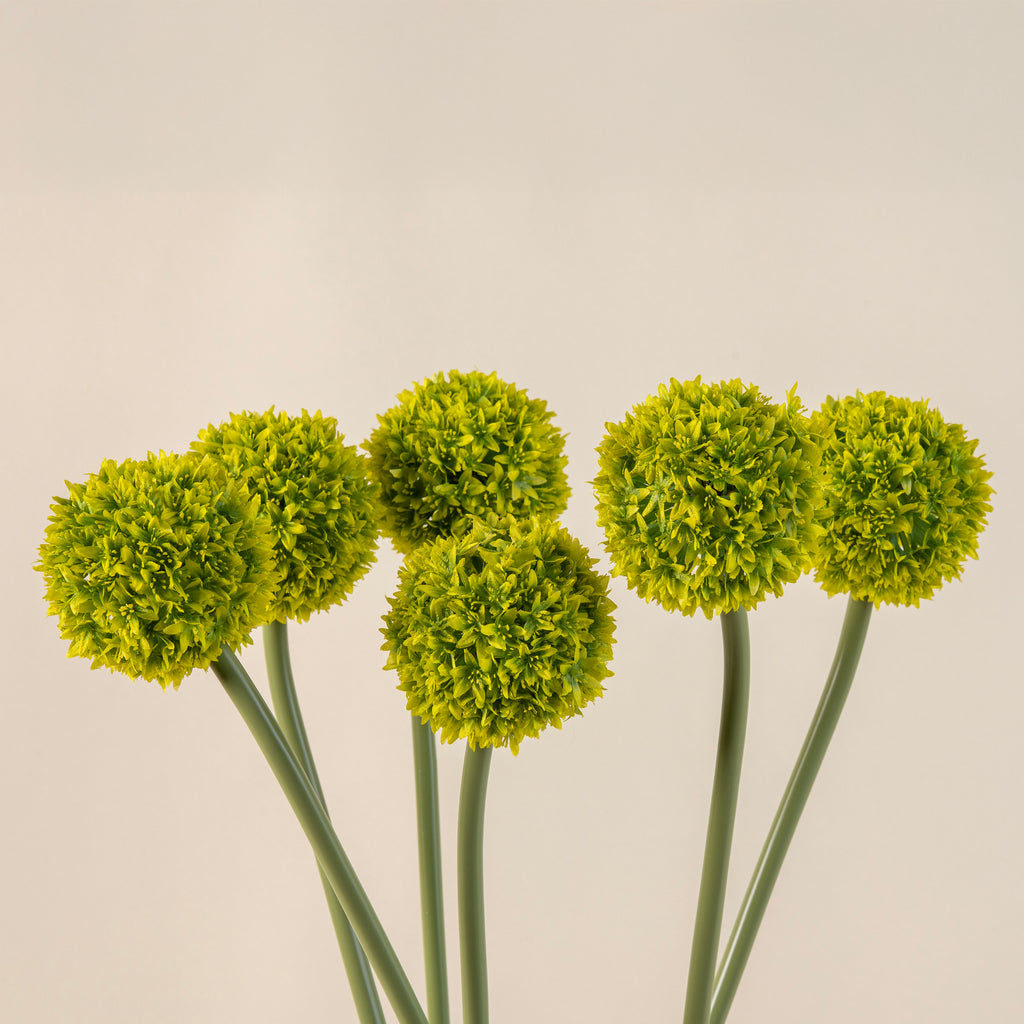 Allium Medium Flower Stem in Lime