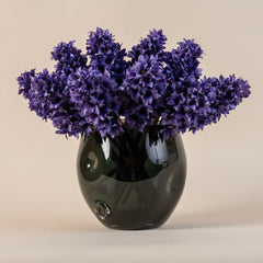 Hyacinth Stem
