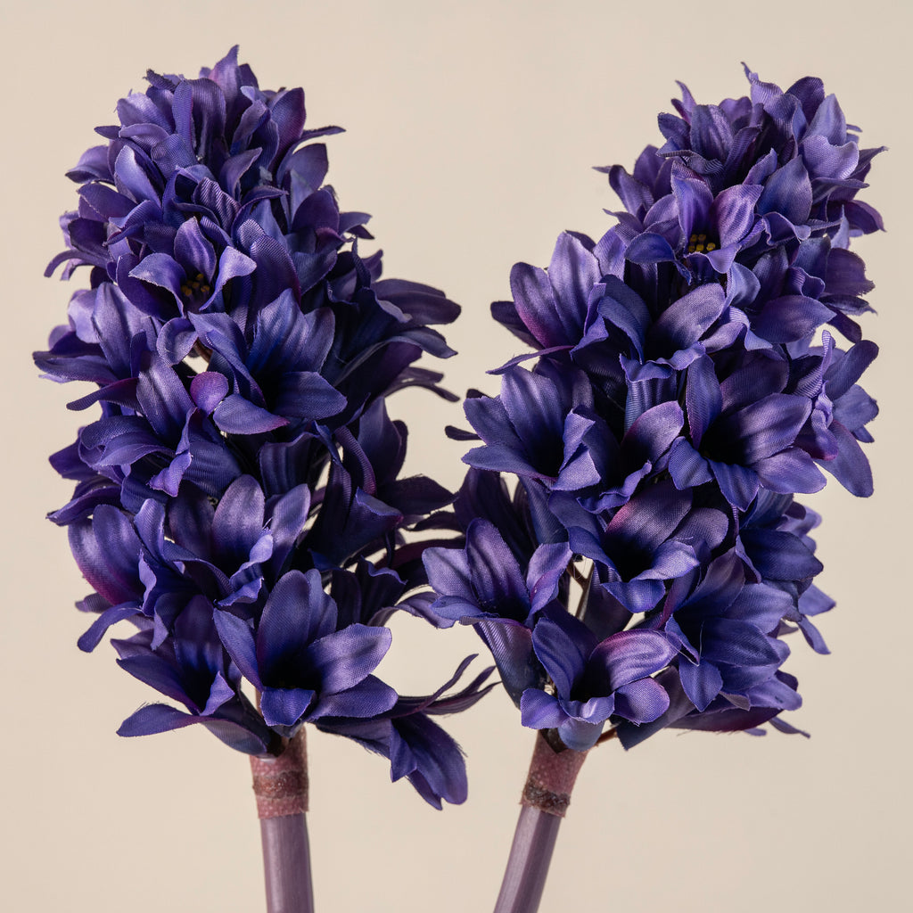 Hyacinth Stem