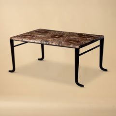 Petrified Wood Top Coffee Table