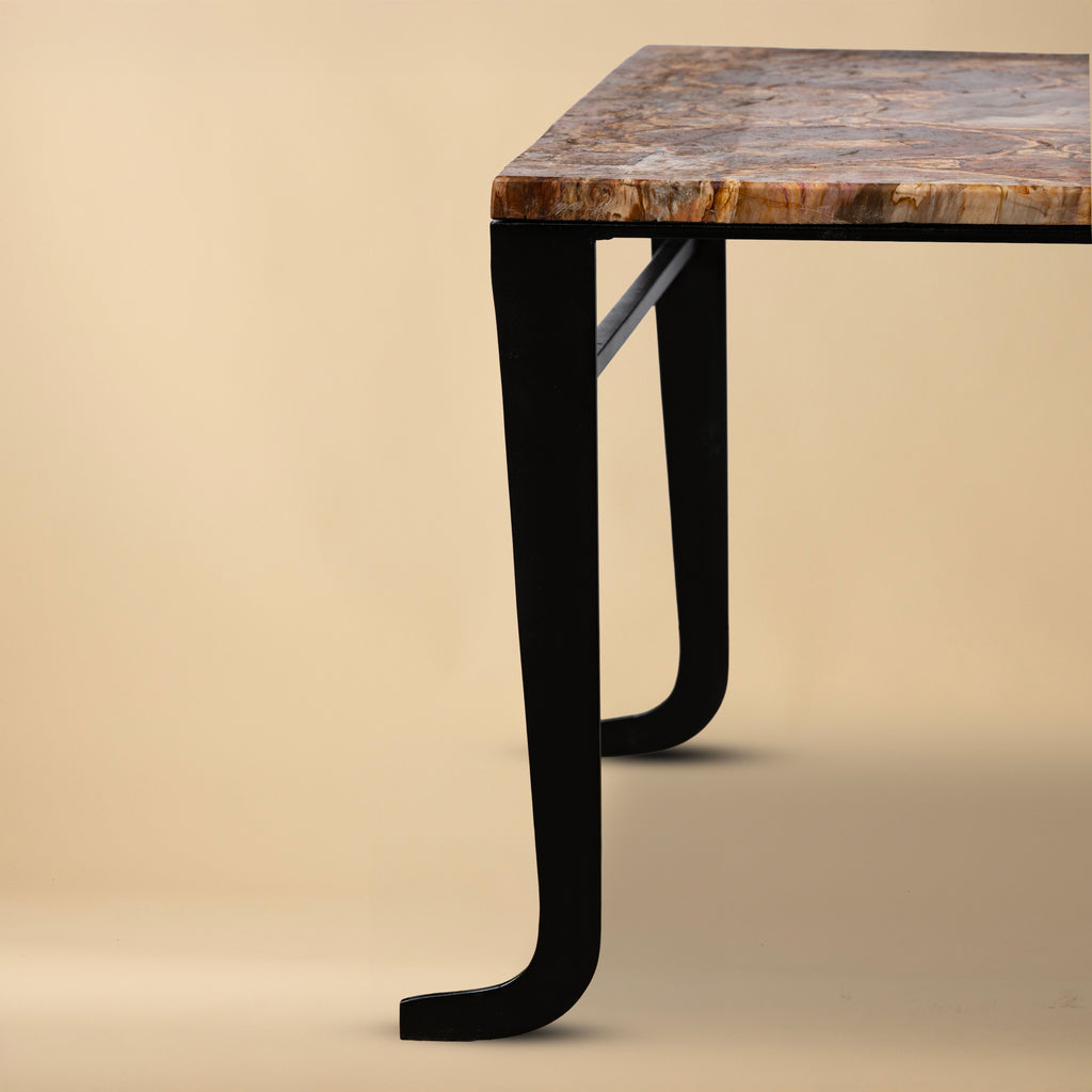 Petrified Wood Top Coffee Table
