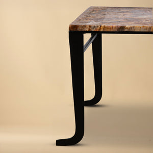 Petrified Wood Top Coffee Table