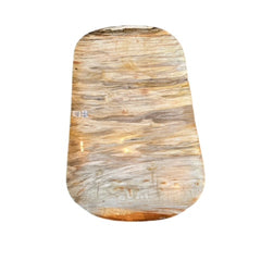 Petrified Wood Platter