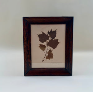 19th Century Pressed Grape Leaves