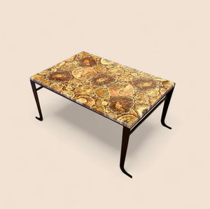Rectangular Petrified Wood Top on custom Steel Base with curled legs