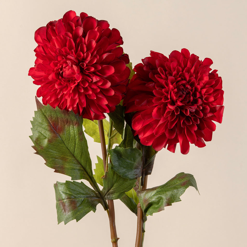Red Dahlia Stem