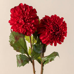 Red Dahlia Stem