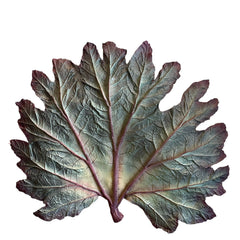 FOUND Collection Handmade Painted Ceramic Gunnera Leaf