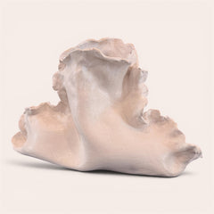 Large Handmade Ceramic Vase with Matte White Finish
