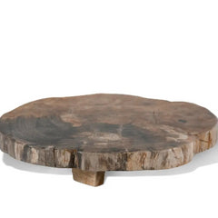 Petrified Wood Trivet with Polished Edge