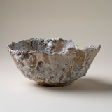 Large Brown Lichen Textured Bowl