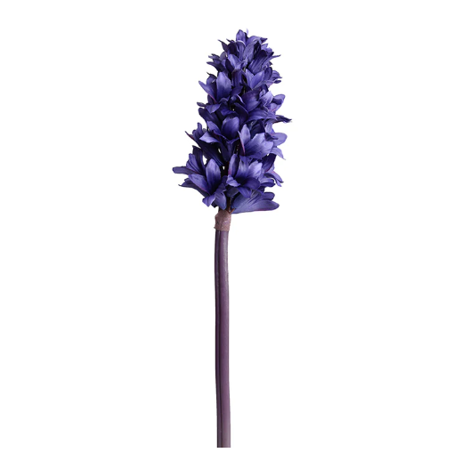 Hyacinth Stem, 14"L in Purple