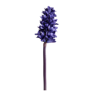 Hyacinth Stem, 14"L in Purple