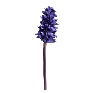 Hyacinth Stem, 14"L in Purple