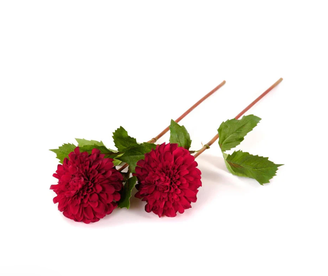 Dahlia Stem 20"L, Red