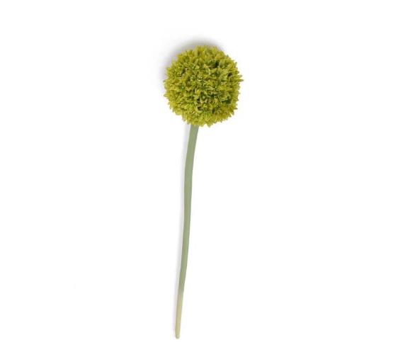 Allium Medium 4"Dia Flower Stem, 32"L, Lime Green
