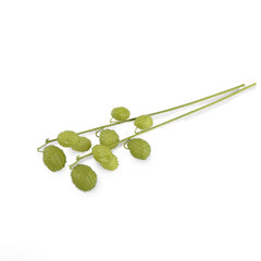 Milkweed Fruit Branch 34", Green